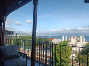 Otel şahmaran